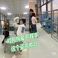 漳州购宠避坑攻略 实测连锁繁育基地推荐 角美门店就近上门挑选