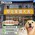 漳州正规犬舍实力 2026同城购宠梯度测评榜单