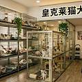 漳州皇克莱猫犬舍测评 本地新手购宠避坑指南